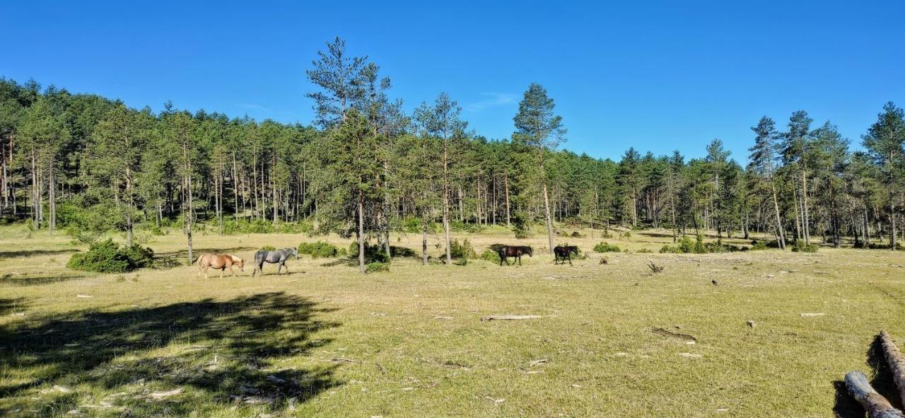 Alojamiento Rural Los Hacheros Tragacete Exterior foto